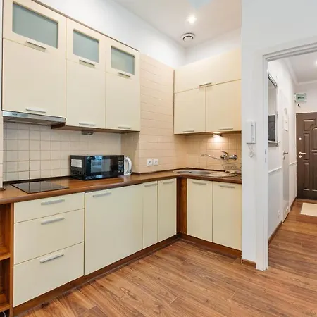 Czyzewskiego, Sun & Snow *